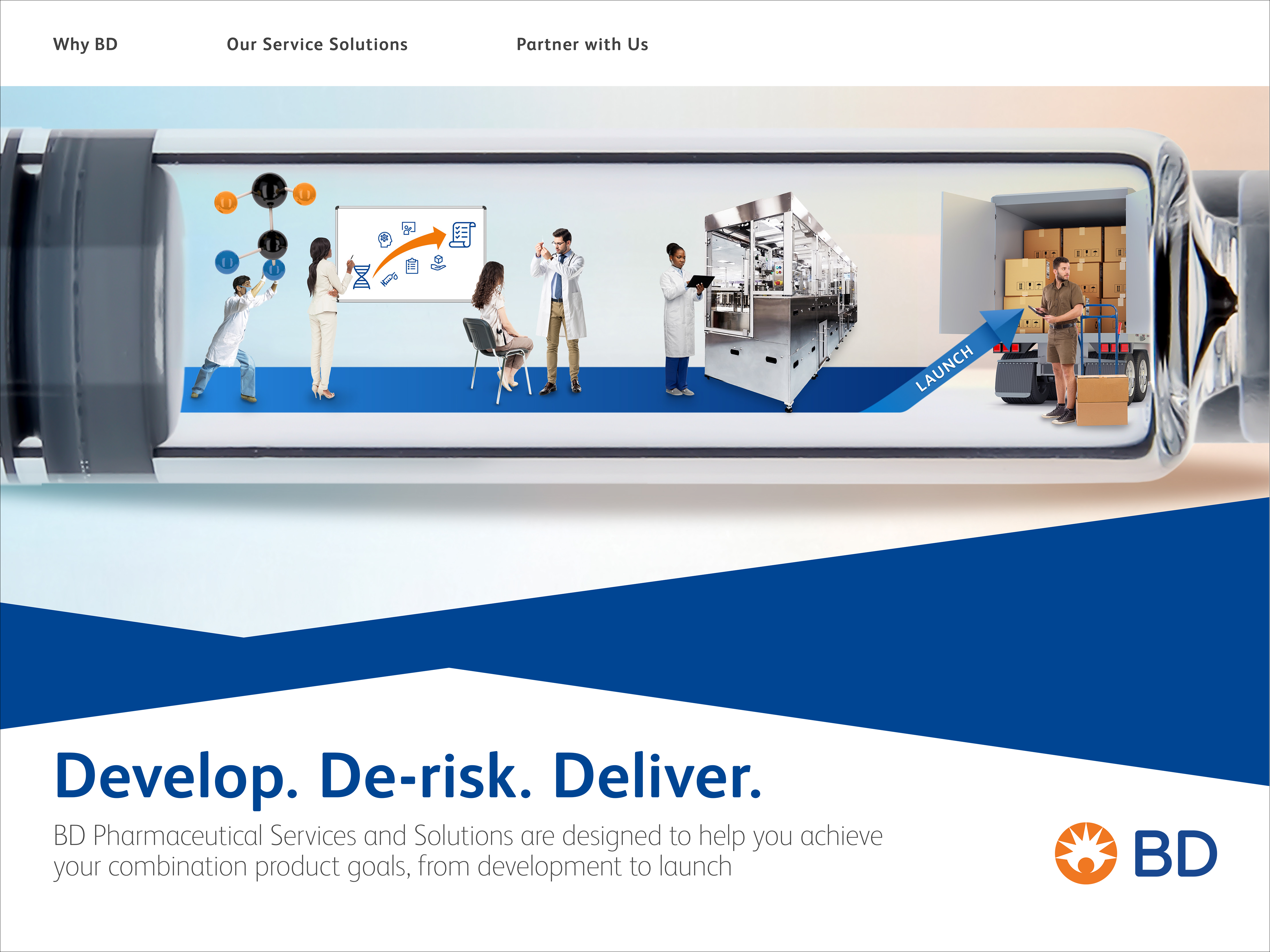 BD Services & Solutions - Develop. De-risk. Deliver. [Brochure]